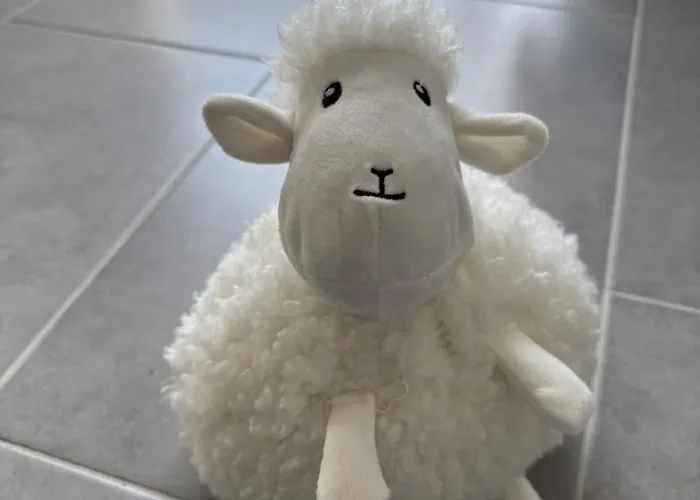 Moderne 3,5 85m2&balkon